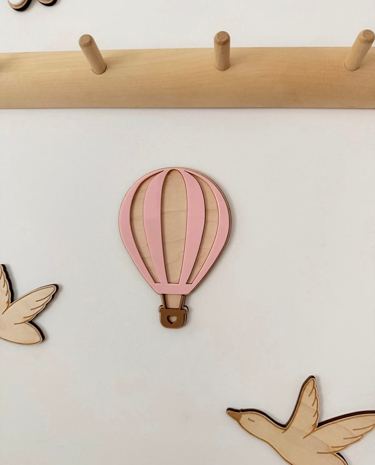 Hot Air Balloon
