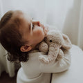 Child holding a teddy bear against a white background