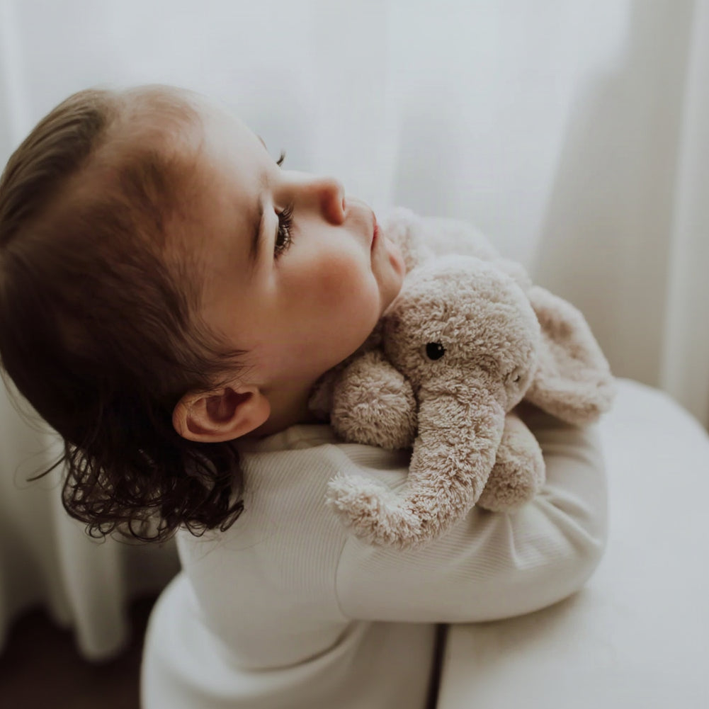 Child holding a teddy bear against a white background